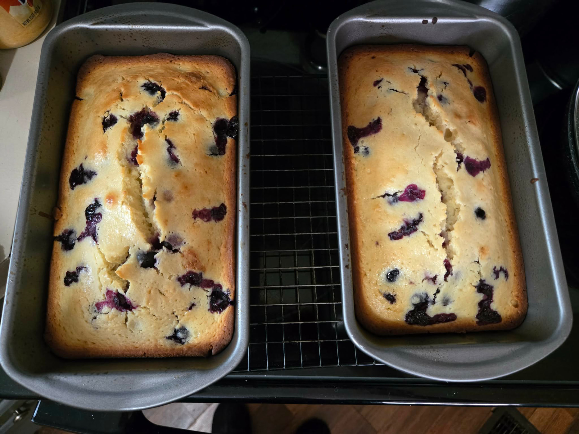 Two golden blueberry loaf cakes cooling in their pans